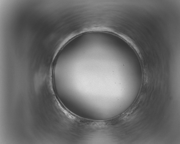 X0000057041006200509120815