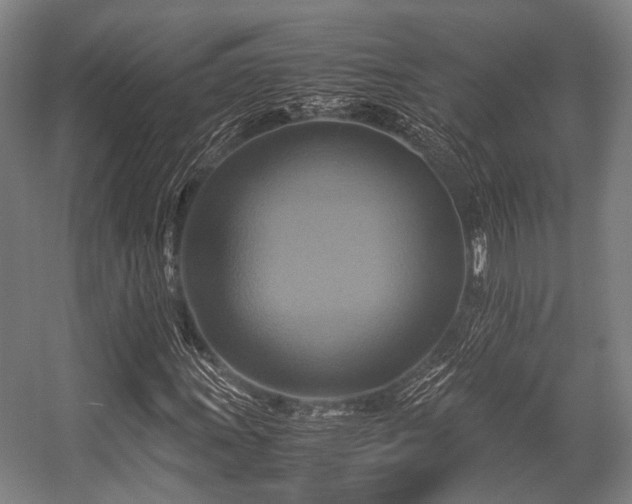 X0000057041011200509120814