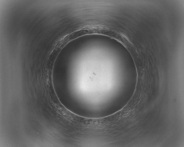 X0000057041016200509120814