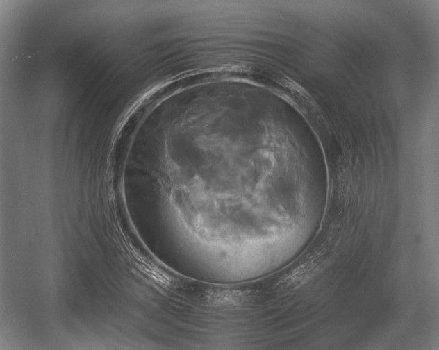 X0000057041019200509120814