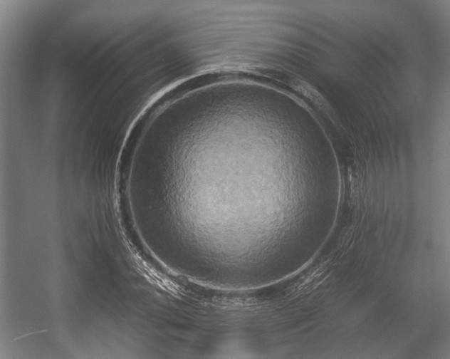 X0000057041020200509120814