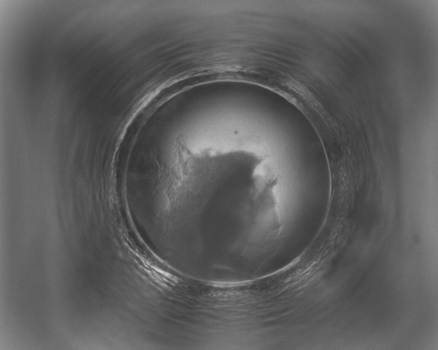 X0000057041023200509120814