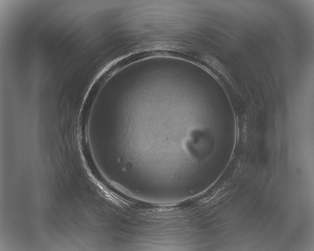 X0000057041024200509120814