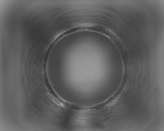 X0000057041025200509120815