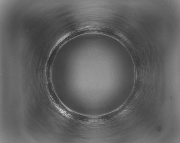 X0000057041026200509120815