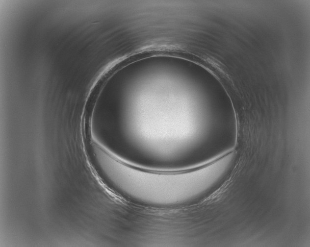 X0000057041030200509120815