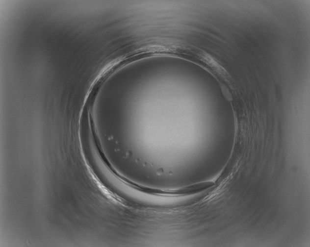 X0000057041034200509120815