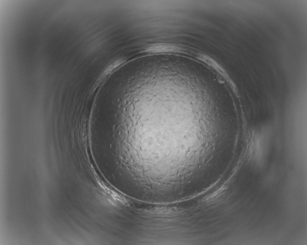 X0000057041049200509120815