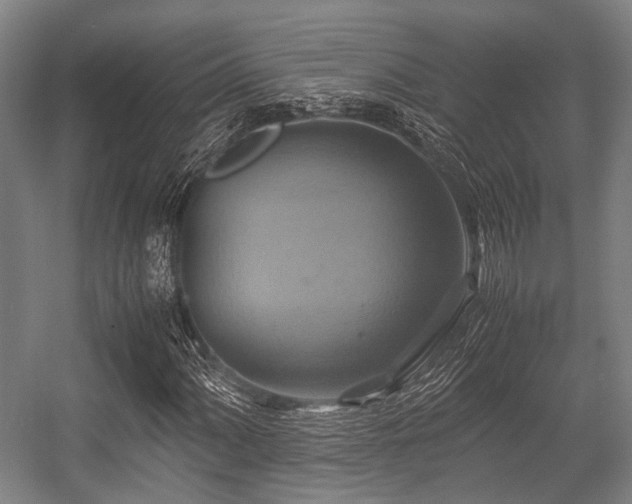 X0000057041060200509120814