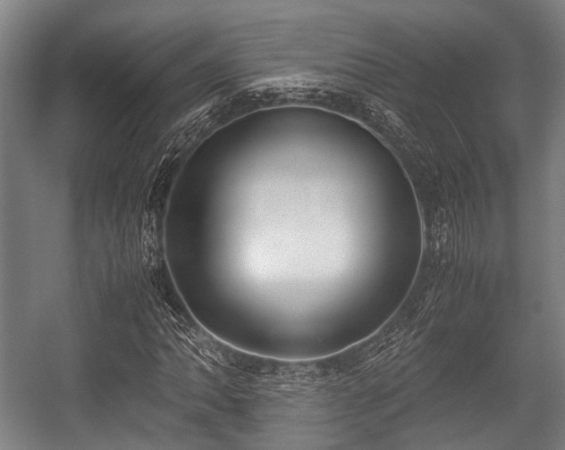 X0000057041062200509120814