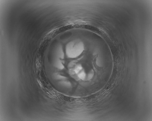 X0000057041063200509120814