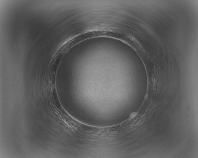 X0000057041064200509120814