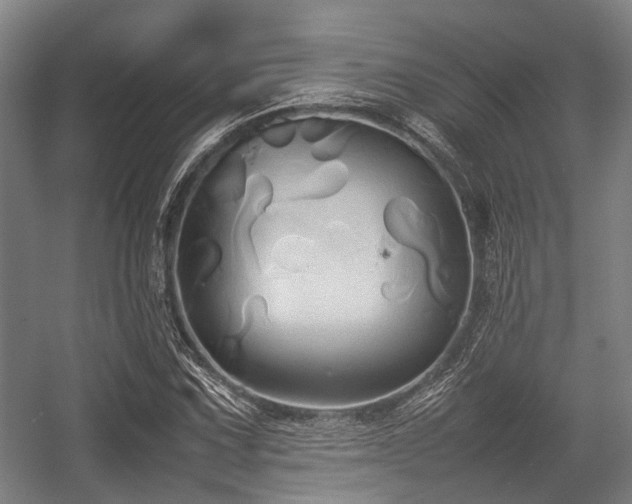 X0000057041067200509120814