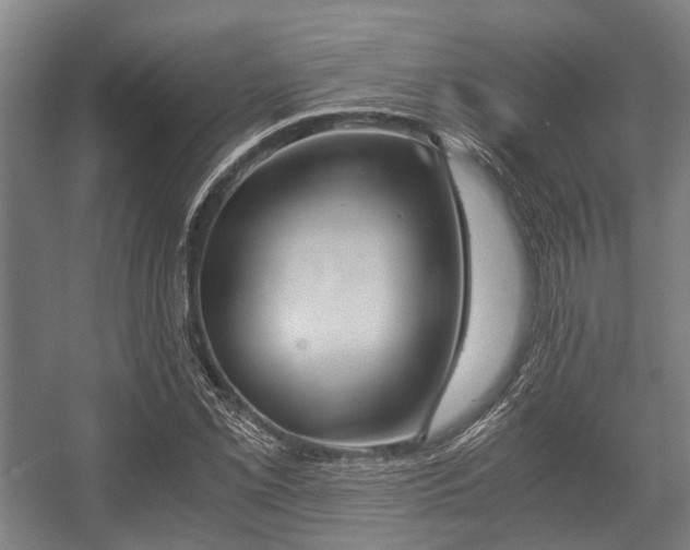 X0000057041069200509120814