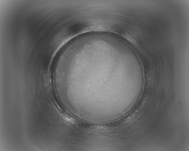 X0000057041070200509120814