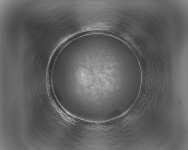 X0000057041072200509120814