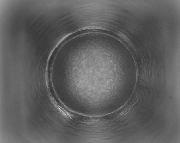 X0000057041076200509120814