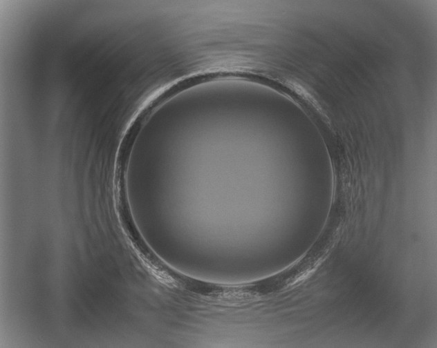 X0000057041077200509120814