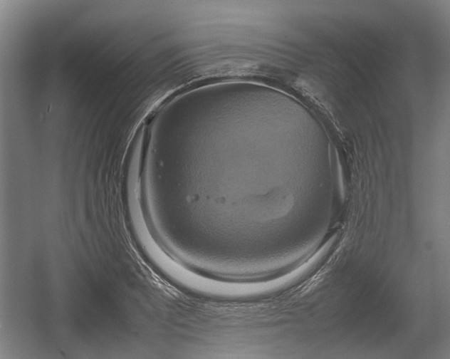 X0000057041081200509120814