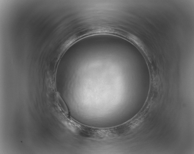 X0000057041097200509120814