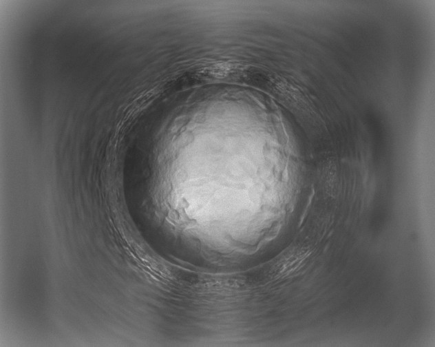 X0000057041105200509120813