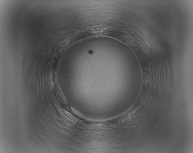X0000057041106200509120813