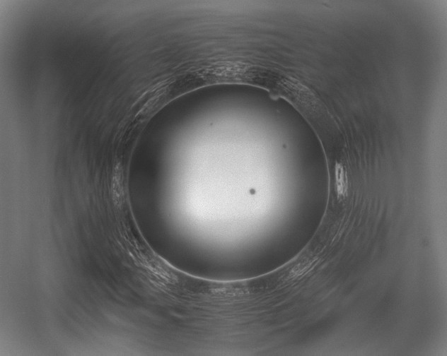X0000057041107200509120813