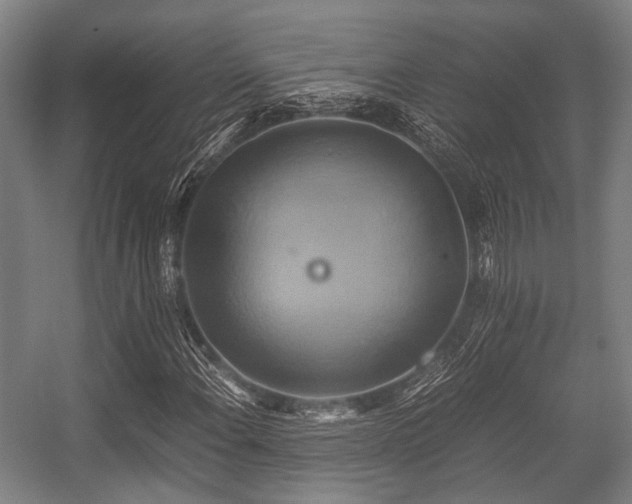 X0000057041108200509120813