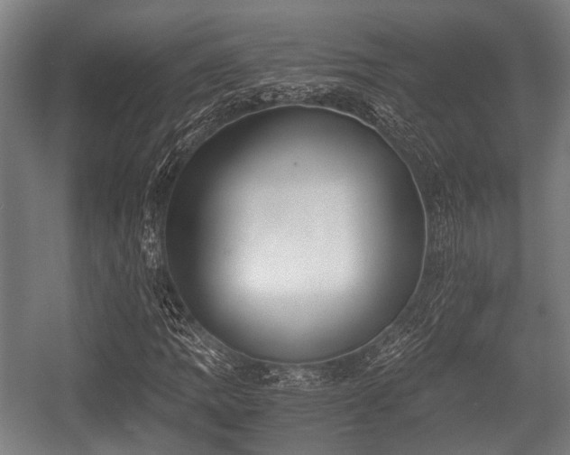 X0000057041109200509120813