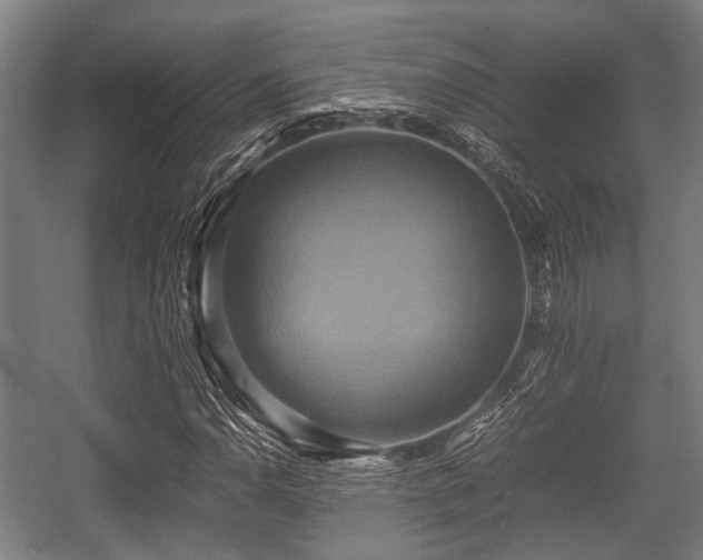 X0000057041110200509120813