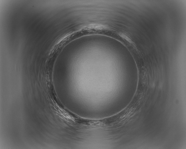 X0000057041112200509120813