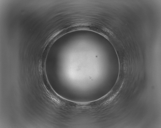 X0000057041113200509120813