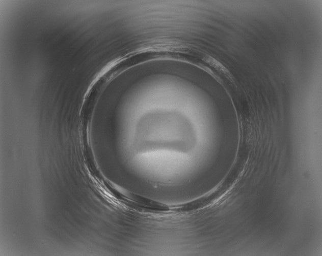 X0000057041114200509120813