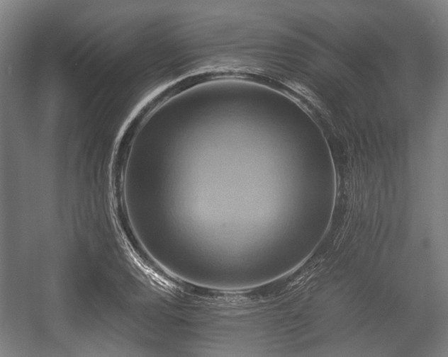 X0000057041120200509120813