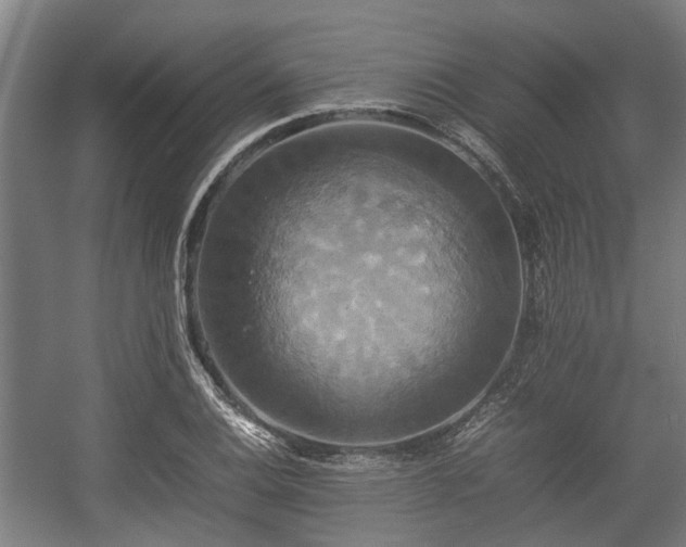 X0000057041124200509120813