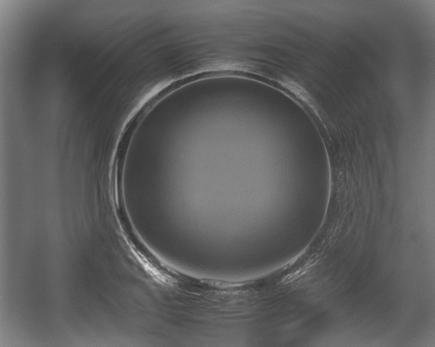 X0000057041127200509120813