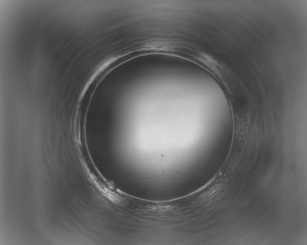 X0000057041131200509120813