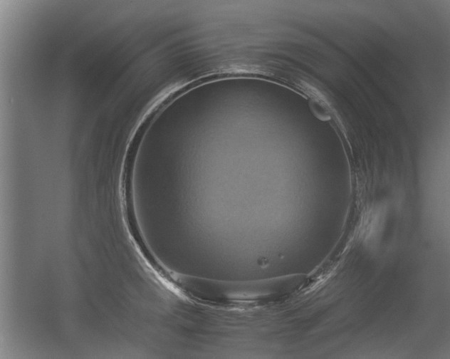 X0000057041141200509120813