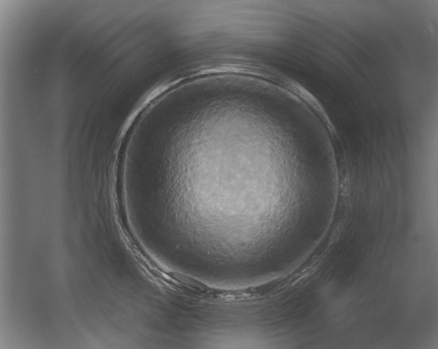 X0000057041146200509120813