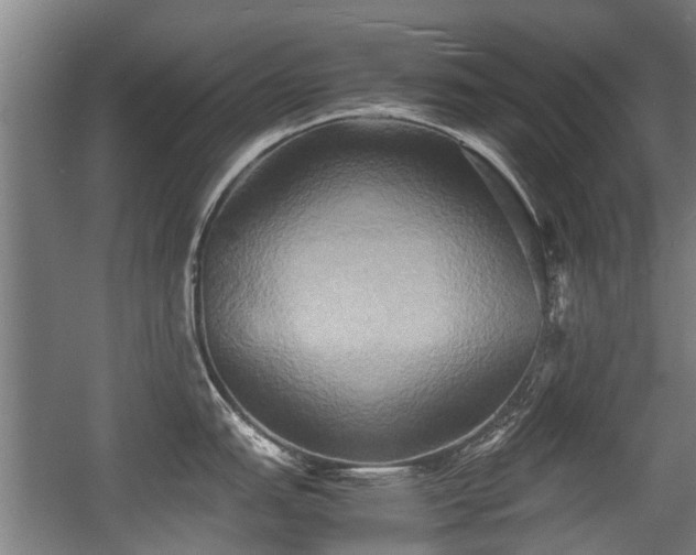X0000057041151200509120813