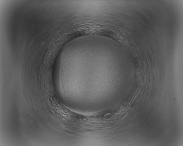 X0000057041153200509120813