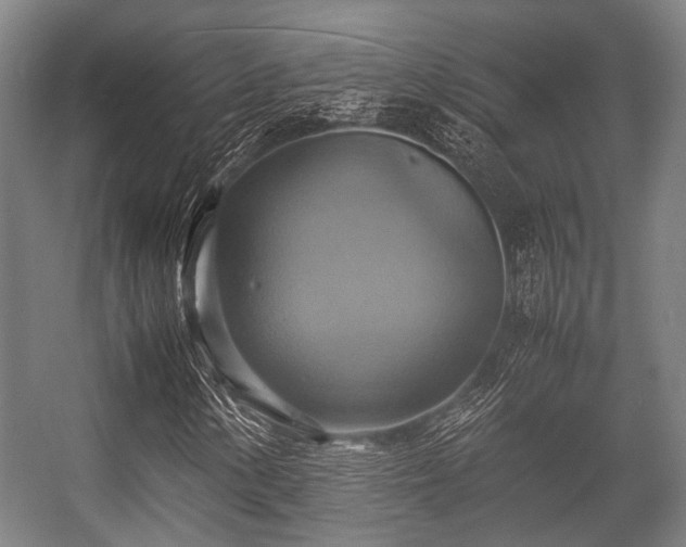X0000057041154200509120813