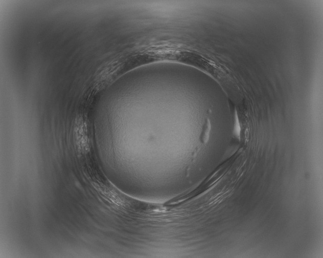X0000057041156200509120813