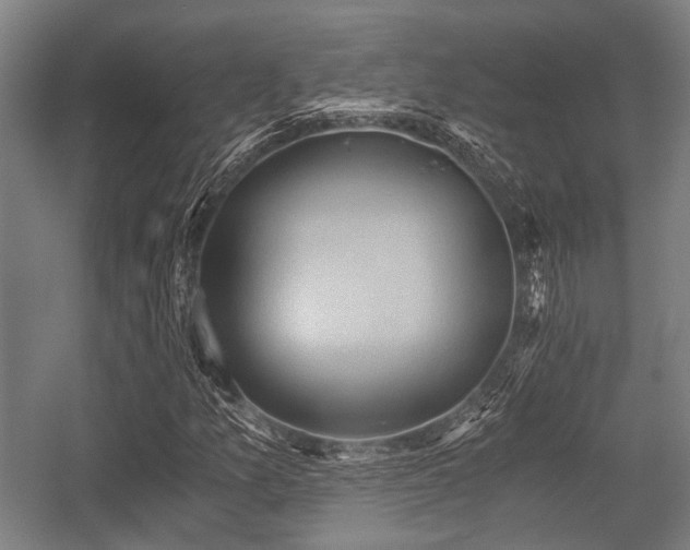 X0000057041157200509120813