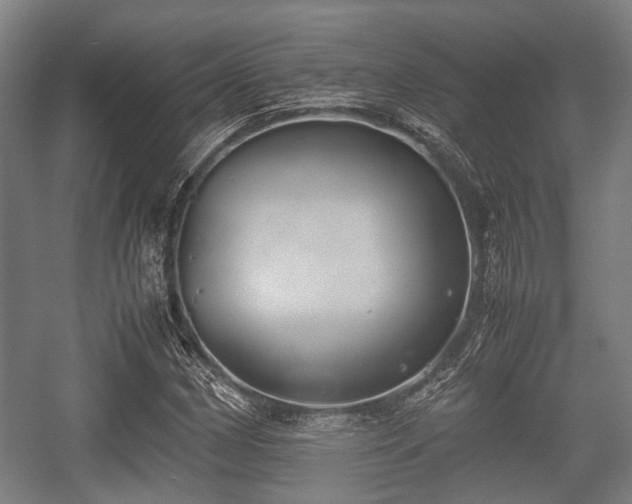 X0000057041162200509120812