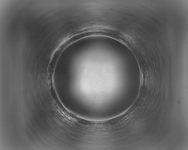 X0000057041164200509120812