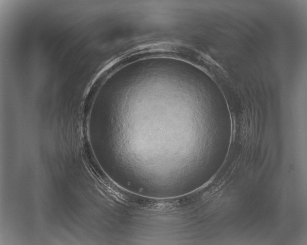 X0000057041166200509120812