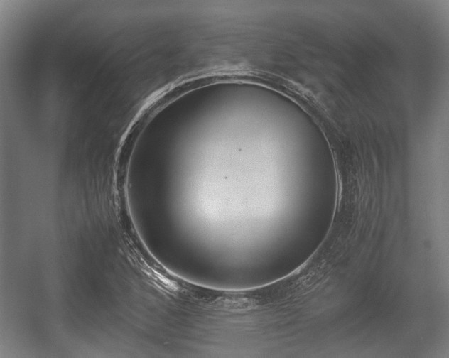 X0000057041168200509120812