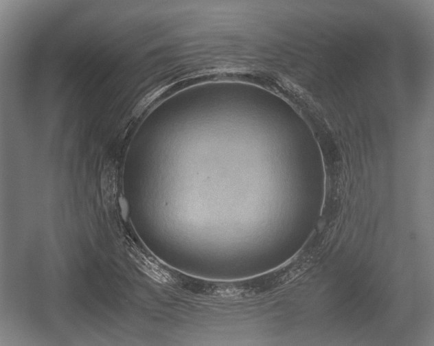 X0000057041169200509120812