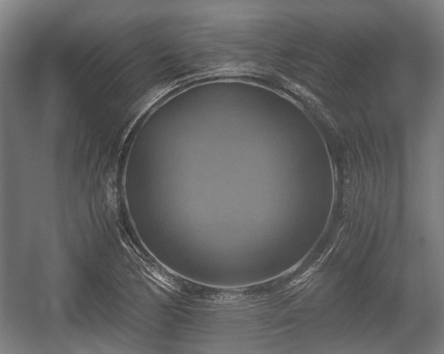 X0000057041170200509120812